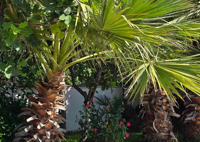 Apartment Two-bedroom Sea View Romantika